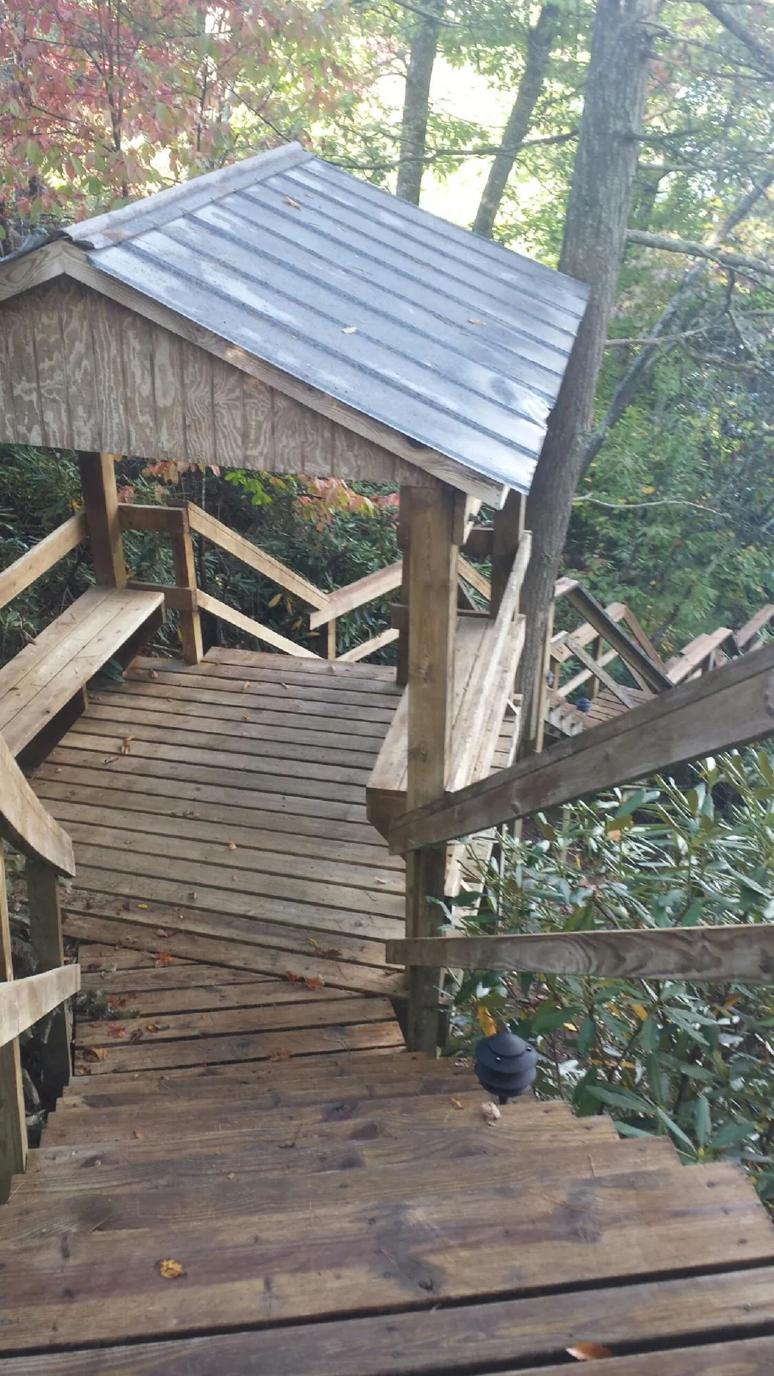 Metal roofed shelter over wooden steps on a wooded walkway — Skylight Repair & Installation work by our crew in Cantrall